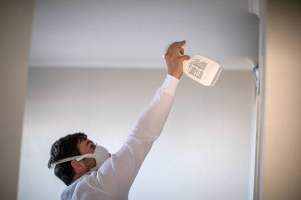 Best Best Mold Removal Companies  in Union City, IN