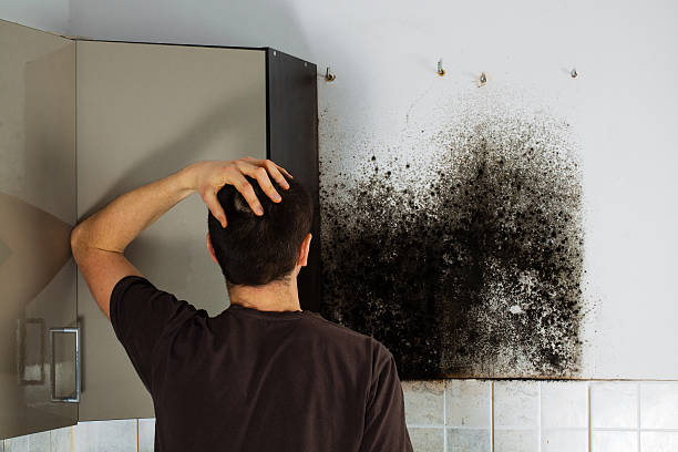 Best Mold Testing  in Union City, IN